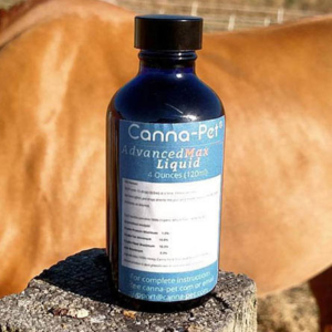 cbd for horses