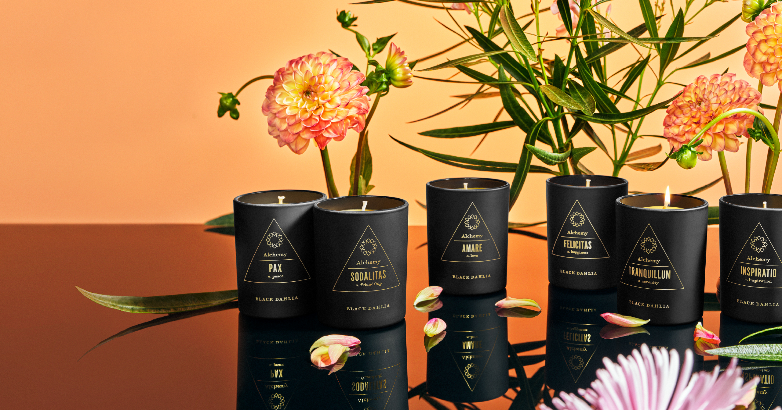 Black Dahlia CBD Candles, relax with candles infused with aromatherapeutic botanicals and hemp-CBD