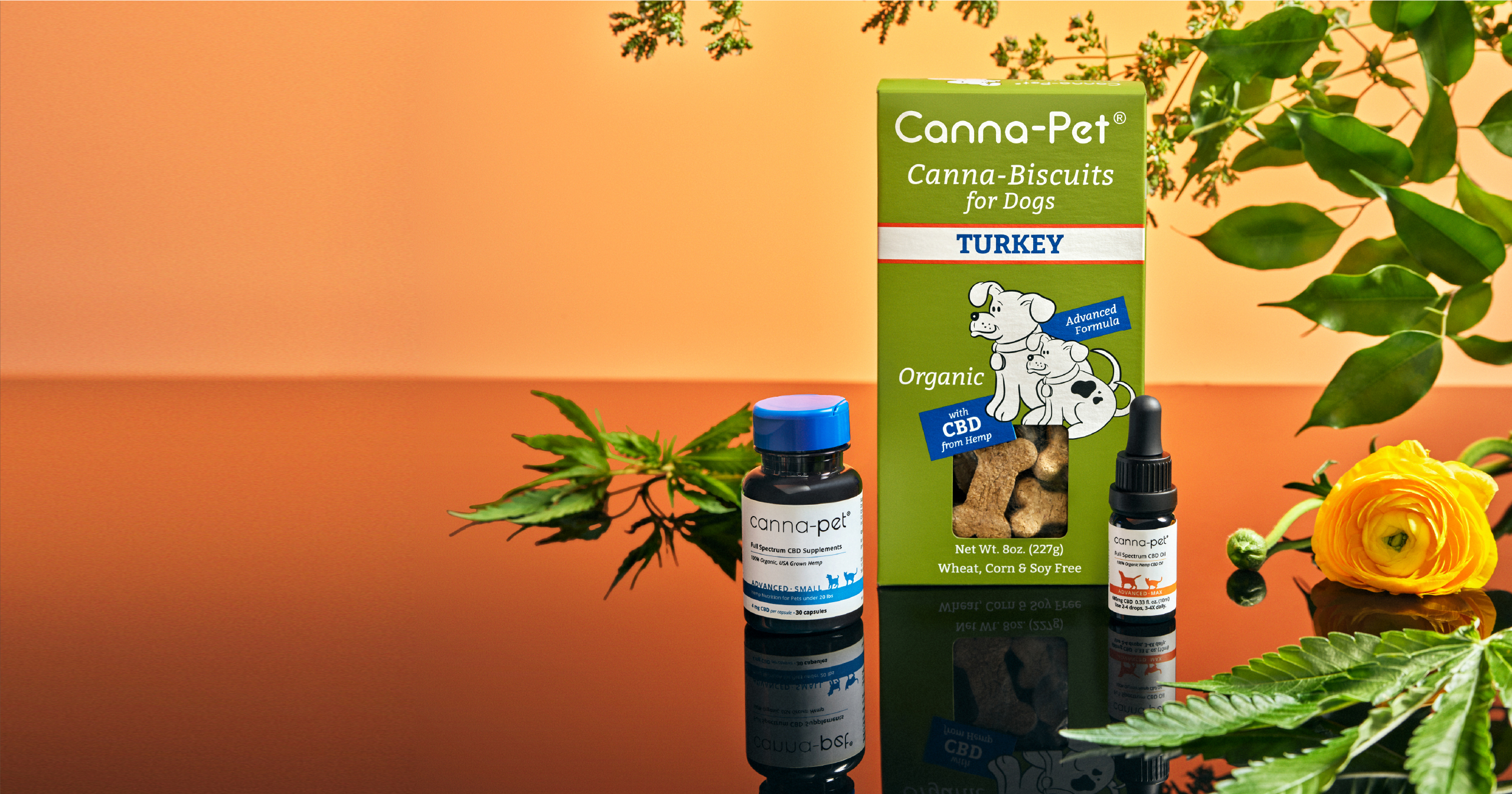 Purchase Canna-Pet CDB pet products at Black Dahlia