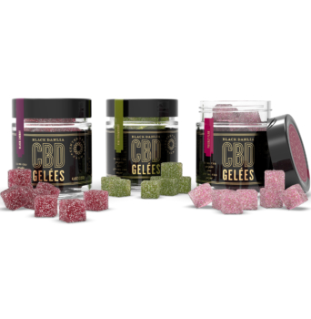 Black Dahlia CBD Gelées Gift Set