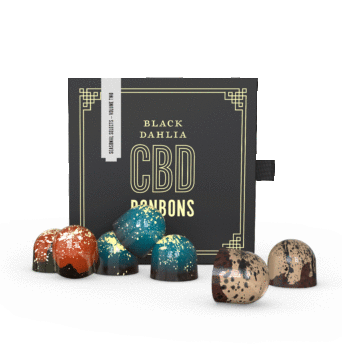 NEW: Seasonal Selects Vol II CBD Bonbons